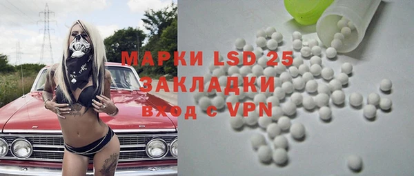 прущие грибы Армянск