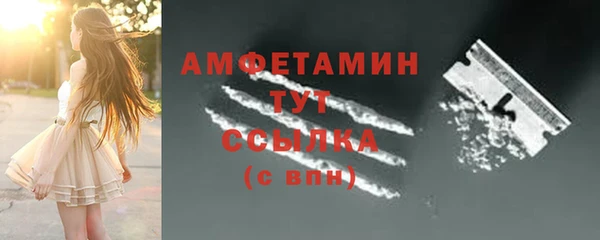 прущие грибы Армянск