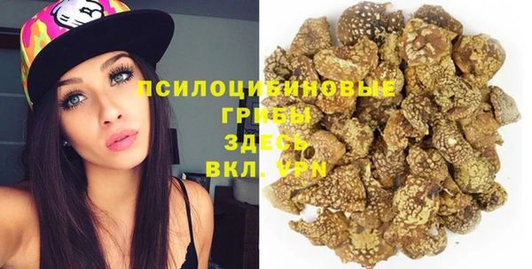 прущие грибы Армянск