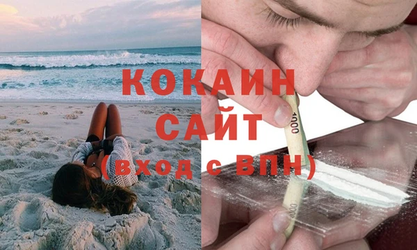 дмт Аркадак