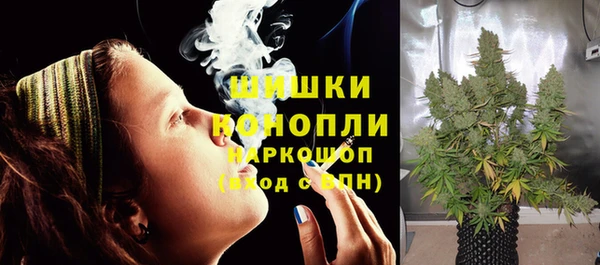 прущие грибы Армянск