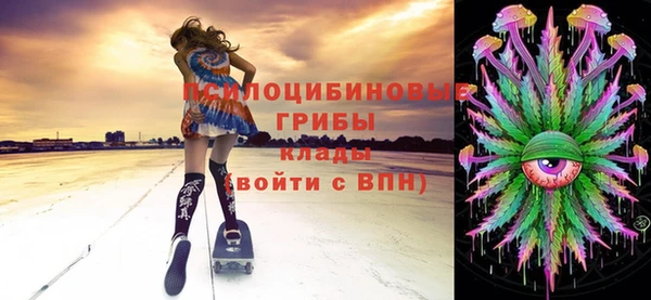 прущие грибы Армянск