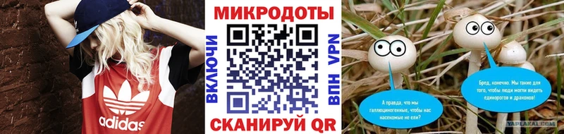 дарнет шоп  Старица  Псилоцибиновые грибы Cubensis 